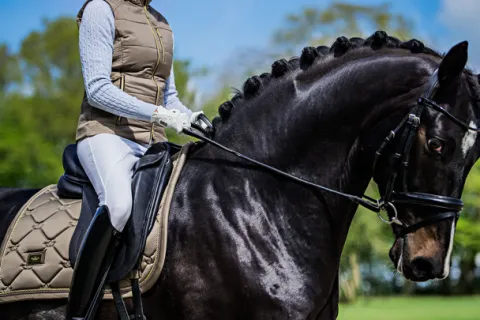 Discount Tapis de selle CHAMPAGNE - Tapis De Cso|Tapis De Dressage