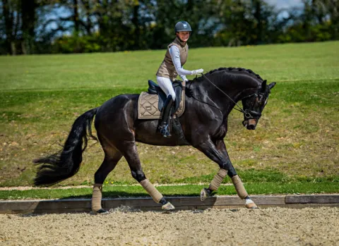 Discount Tapis de selle CHAMPAGNE - Tapis De Cso|Tapis De Dressage