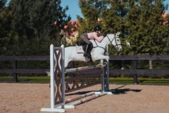 Discount Tapis de selle Desert Rose - Tapis De Dressage|Tapis De Selle