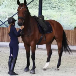 Clearance Tapis de selle dressage Classico - Tapis De Dressage|Tapis De Selle