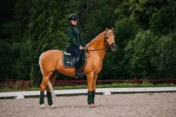 Outlet Tapis de selle DRESSAGE Forest Green - - Tissu déperlant Tapis De Dressage|Tapis De Selle