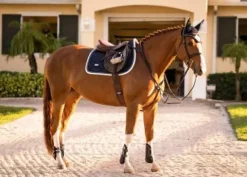Outlet Tapis de selle Midnight Edge - Tapis De Dressage|Tapis De Selle