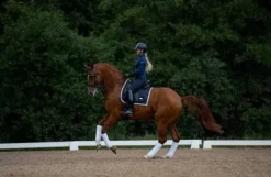Outlet Tapis de selle Midnight Edge - Tapis De Dressage|Tapis De Selle