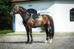 Sale Tapis de selle Olive Blush - Tapis De Dressage|Tapis De Cso