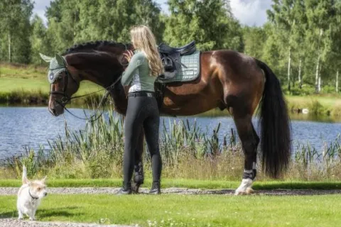 Outlet Tapis de selle PEPPERMINT - Tapis De Dressage|Tapis De Cso