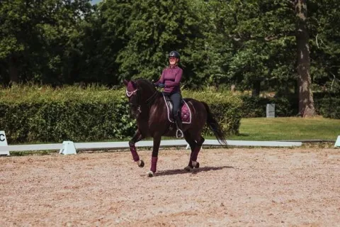 Sale Tapis de selle Purple White Edge - Tapis De Dressage|Tapis De Selle