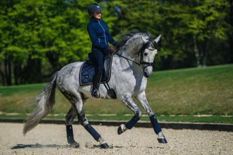 Clearance Tapis de selle ROYAL CLASSIC - Tapis De Dressage|Tapis De Selle