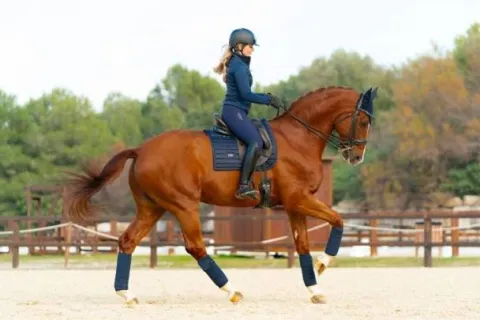 Clearance Tapis de selle Sportive Navy - Tapis De Dressage|Tapis De Selle