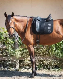 Online Tapis de selle TEN - Tapis De Cso|Tapis De Selle