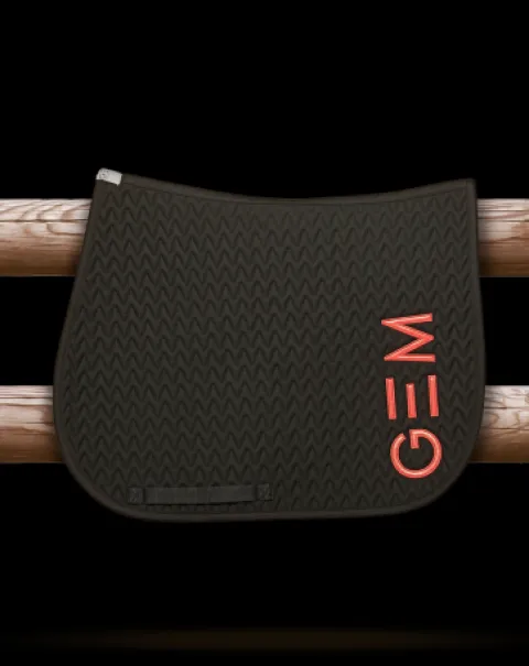 Sale Tapis de selle Ten en CSO ou Dressage Tapis De Dressage|Tapis De Cso