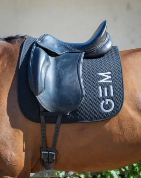 Sale Tapis de selle Ten en CSO ou Dressage Tapis De Dressage|Tapis De Cso