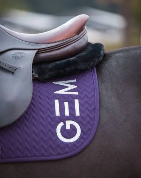 Sale Tapis de selle Ten en CSO ou Dressage Tapis De Dressage|Tapis De Cso