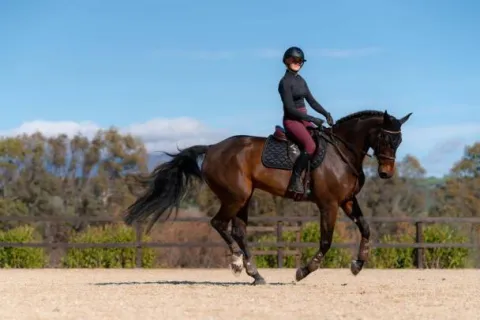 Outlet Tapis de selle Total Eclipse - Tapis De Dressage|Tapis De Selle
