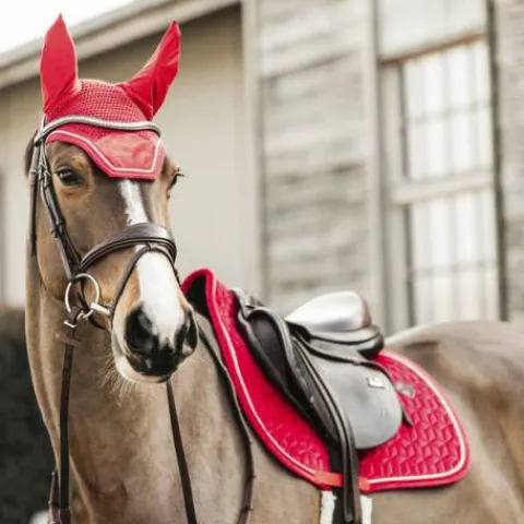New Tapis de selle Velvet - Kentucky Tapis De Dressage|Tapis De Cso