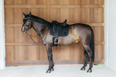 Sale Tapis de selle Wave - Kentucky Tapis De Dressage|Tapis De Cso