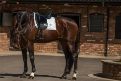 Tapis de selle White Perfection Silver - Tapis De Dressage|Tapis De Selle