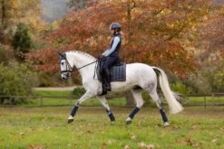 Best Tapis dressage Loire Tapis De Dressage|Tapis De Selle
