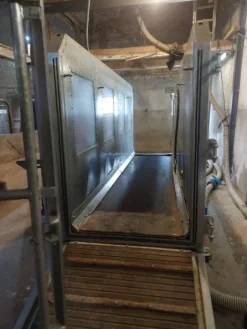Online Tapis immeé Tapis Roulant Chevaux