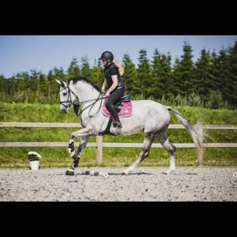 Clearance Tapis My Passion - Divine Rose Tapis De Dressage|Tapis De Selle