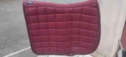 New Tapis Tapis De Dressage|Tapis De Cso