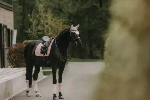 Sale Tapis Velvet Pearl DRESSAGE - KENTUCKY Tapis De Dressage|Tapis De Selle