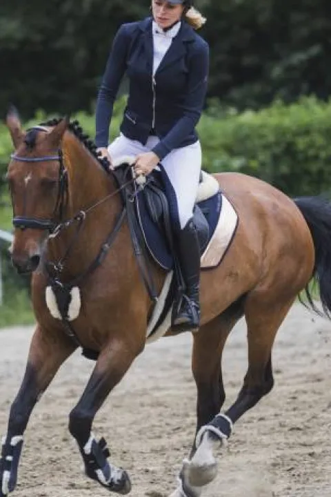 Discount Veste de concours CHIC - - Softshell technique Femme La Cavalière En Concours|La Femme En Concours